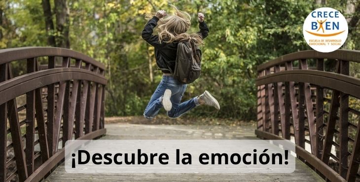 4905_1_IMAGENES FICHAS (21).jpg